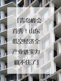 青岛峰会首秀！山东低空经济全产业链实力藏不住了