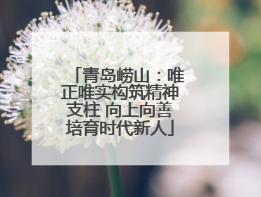青岛崂山：唯正唯实构筑精神支柱 向上向善培育时代新人