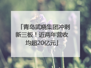 青岛武晓集团冲刺新三板！近两年营收均超20亿元
