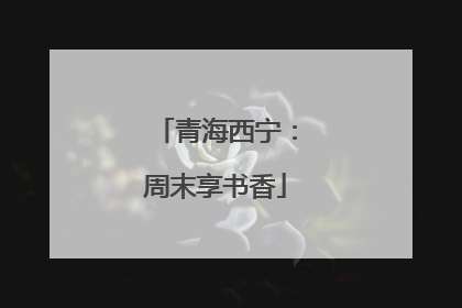 青海西宁：周末享书香