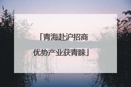 青海赴沪招商 优势产业获青睐