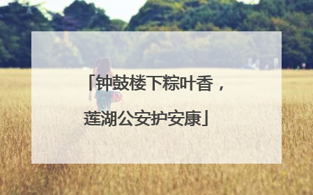 钟鼓楼下粽叶香，莲湖公安护安康