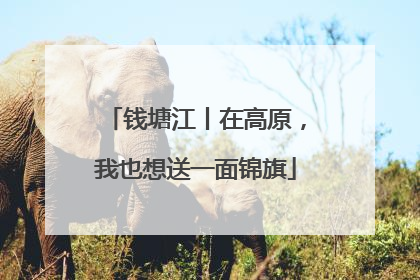 钱塘江丨在高原，我也想送一面锦旗