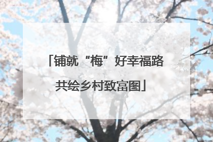 铺就“梅”好幸福路 共绘乡村致富图