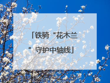 铁骑“花木兰”守护中轴线