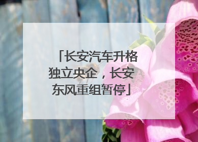 长安汽车升格独立央企，长安东风重组暂停