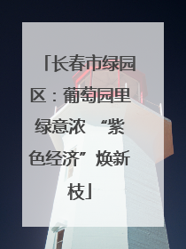 长春市绿园区：葡萄园里绿意浓 “紫色经济”焕新枝
