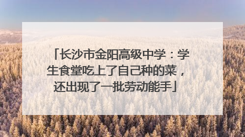 长沙市金阳高级中学：学生食堂吃上了自己种的菜，还出现了一批劳动能手