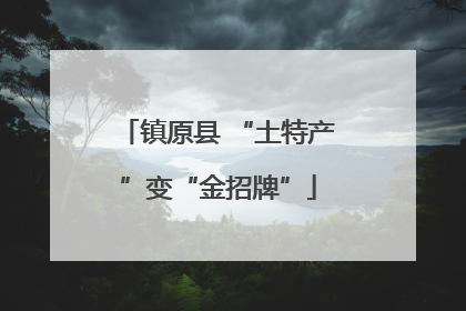 镇原县 “土特产”变“金招牌”