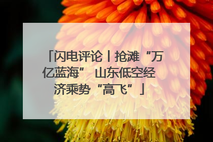 闪电评论丨抢滩“万亿蓝海” 山东低空经济乘势“高飞”