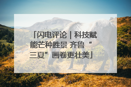 闪电评论｜科技赋能芒种胜景 齐鲁“三夏”画卷更壮美
