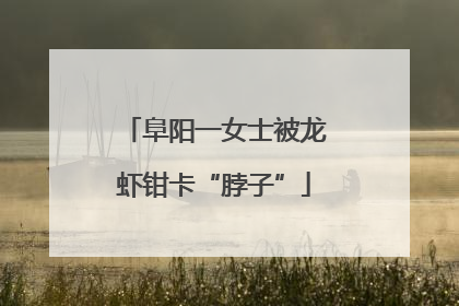 阜阳一女士被龙虾钳卡“脖子”