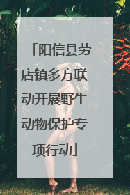 阳信县劳店镇多方联动开展野生动物保护专项行动