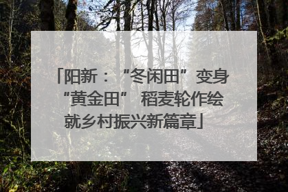阳新：“冬闲田”变身“黄金田” 稻麦轮作绘就乡村振兴新篇章