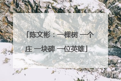 陈文彬：一棵树 一个庄 一块碑 一位英雄