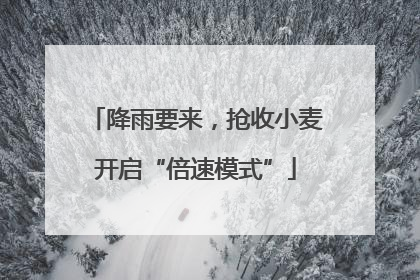 降雨要来，抢收小麦开启“倍速模式”