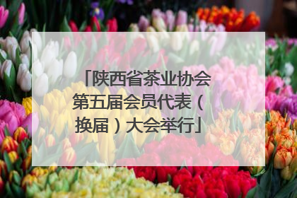 陕西省茶业协会第五届会员代表（换届）大会举行