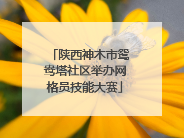 陕西神木市鸳鸯塔社区举办网格员技能大赛