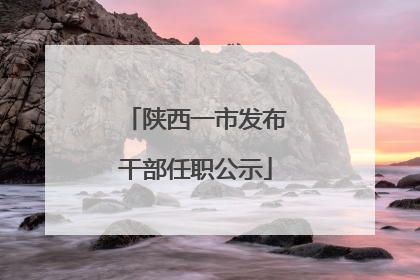陕西一市发布干部任职公示