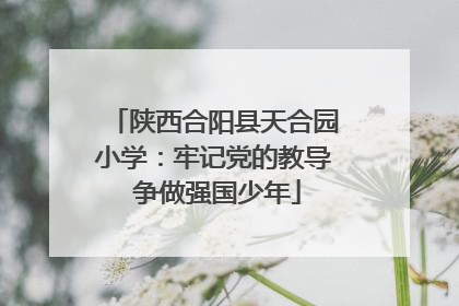 陕西合阳县天合园小学：牢记党的教导 争做强国少年