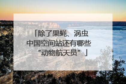 除了果蝇、涡虫 中国空间站还有哪些“动物航天员”