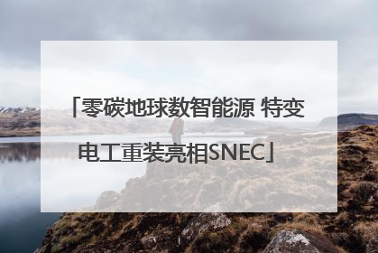 零碳地球数智能源 特变电工重装亮相SNEC