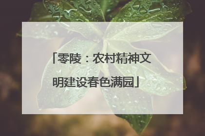 零陵：农村精神文明建设春色满园