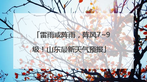 雷雨或阵雨，阵风7~9级！山东最新天气预报