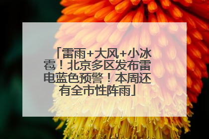 雷雨+大风+小冰雹！北京多区发布雷电蓝色预警！本周还有全市性阵雨