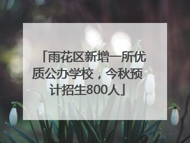 雨花区新增一所优质公办学校，今秋预计招生800人