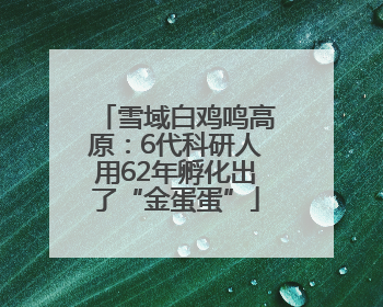 雪域白鸡鸣高原：6代科研人用62年孵化出了“金蛋蛋”