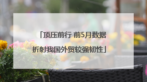 顶压前行 前5月数据折射我国外贸较强韧性