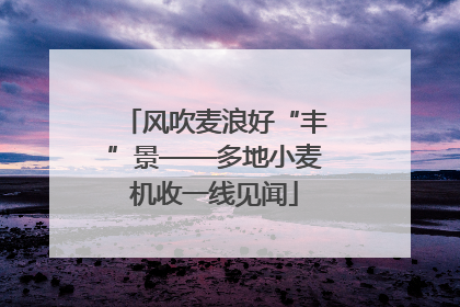 风吹麦浪好“丰”景——多地小麦机收一线见闻