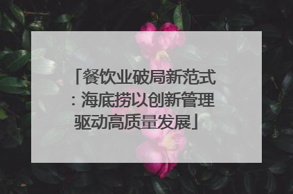 餐饮业破局新范式：海底捞以创新管理驱动高质量发展