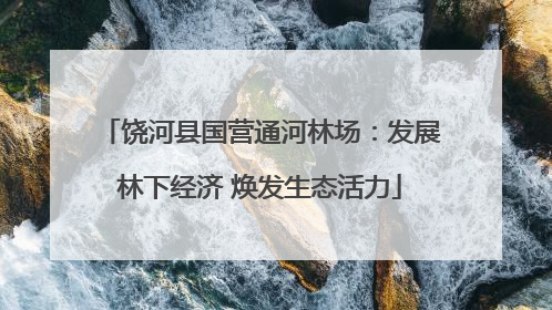 饶河县国营通河林场：发展林下经济 焕发生态活力
