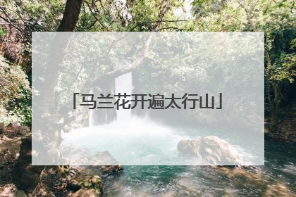 马兰花开遍太行山