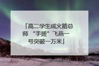 高二学生成火箭总师 “手搓”飞燕一号突破一万米