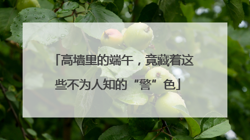 高墙里的端午，竟藏着这些不为人知的“警”色