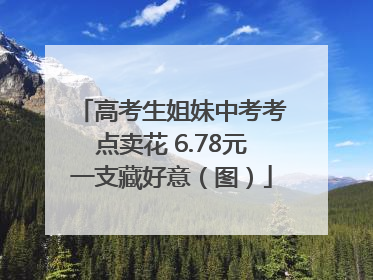 高考生姐妹中考考点卖花 6.78元一支藏好意（图）