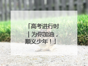 高考进行时｜为你加油，顺义少年！