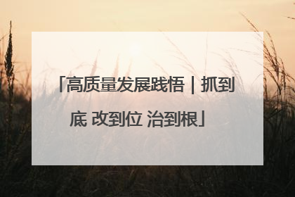 高质量发展践悟｜抓到底 改到位 治到根