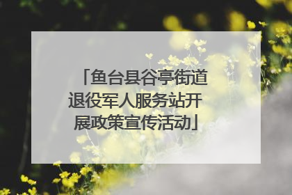 鱼台县谷亭街道退役军人服务站开展政策宣传活动