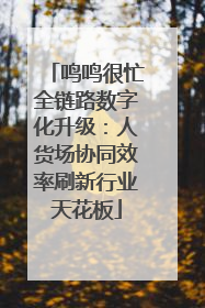 鸣鸣很忙全链路数字化升级：人货场协同效率刷新行业天花板