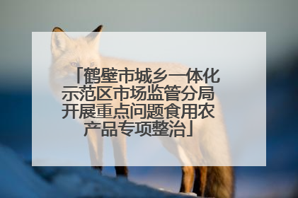 鹤壁市城乡一体化示范区市场监管分局开展重点问题食用农产品专项整治
