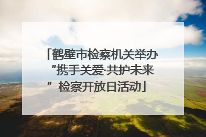 鹤壁市检察机关举办“携手关爱·共护未来”检察开放日活动