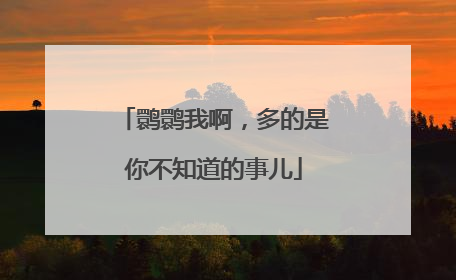 鹮鹮我啊，多的是你不知道的事儿