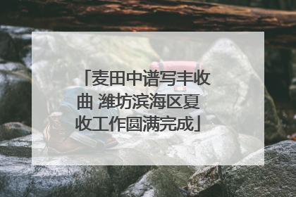 麦田中谱写丰收曲 潍坊滨海区夏收工作圆满完成