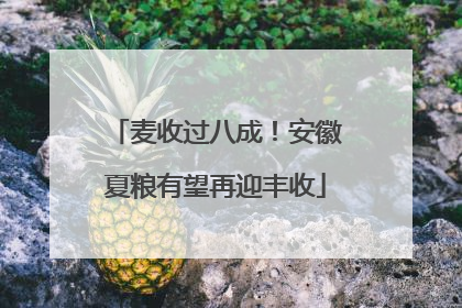 麦收过八成！安徽夏粮有望再迎丰收