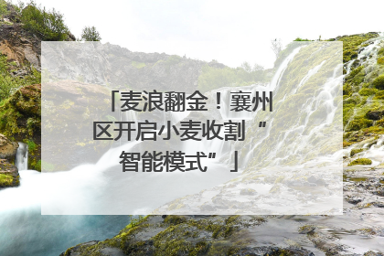 麦浪翻金！襄州区开启小麦收割“智能模式”