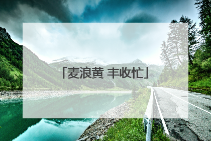 麦浪黄 丰收忙
